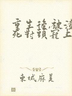 重生后,被渣男死对头宠上天短剧