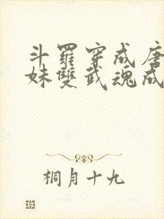 斗罗穿成唐三亲妹双武魂成神了免费阅读