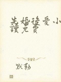 先婚后爱小说阅读免费