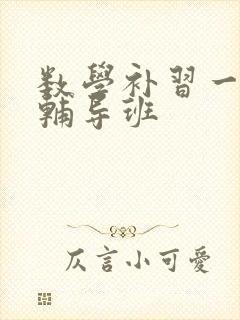 数学补习一对一辅导班