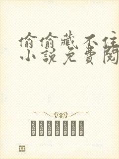 偷偷藏不住原著小说免费阅读