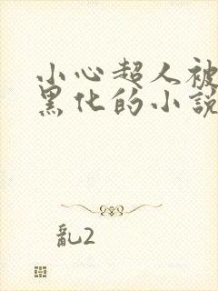 小心超人被冤枉黑化的小说