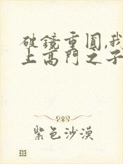 破镜重圆,我爱上高门之子