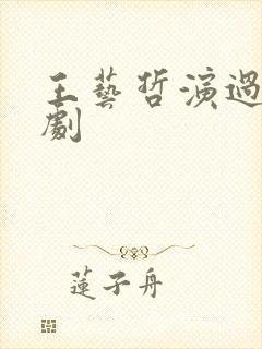 王艺哲演过哪些剧