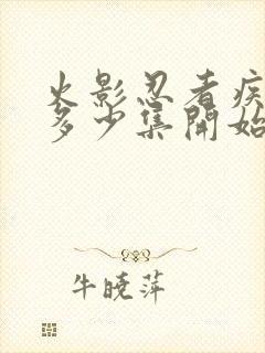 火影忍者疾风传多少集开始的