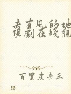 去有风的地方电视剧在线观看全集