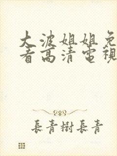 大波姐姐免费观看高清电视剧韩剧