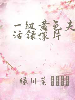 一级黄色夫妻生活录像片