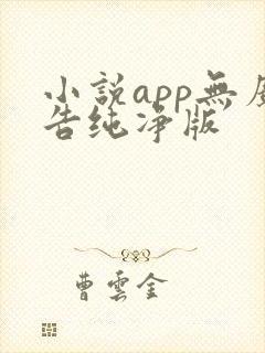 小说app无广告纯净版