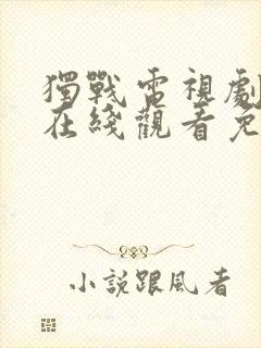 独战电视剧全集在线观看免费高清