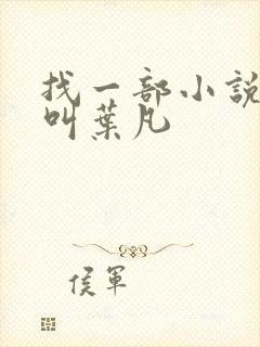 找一部小说主角叫叶凡