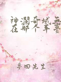 神澜奇域无双珠在哪个平台