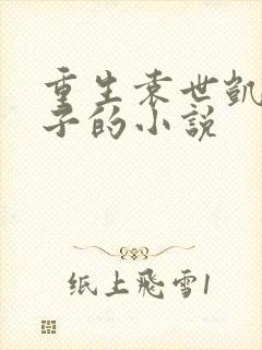 重生袁世凯二公子的小说