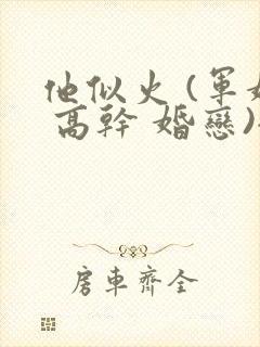 他似火 (军婚 高干 婚恋)全文免费