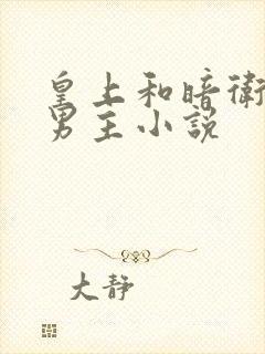 皇上和暗卫的双男主小说