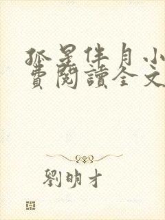 孤星伴月小说免费阅读全文最新章节