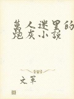 万人迷里的恶毒炮灰小说