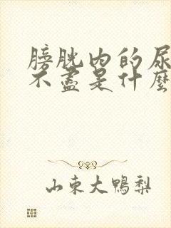 膀胱内的尿液排不尽是什么病