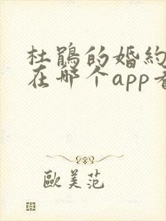 杜鹃的婚约漫画在哪个app看