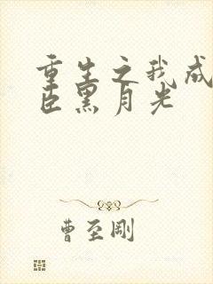 重生之我成了奸臣黑月光