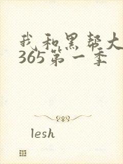 我和黑帮大佬的365第一季