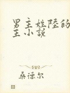 男主姓陆的双男主小说