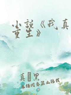 小说《我真没想重生》