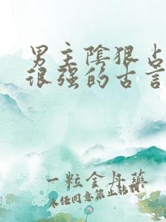 男主阴狠占有欲很强的古言重生文