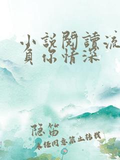 小说阅读流年不负你情深