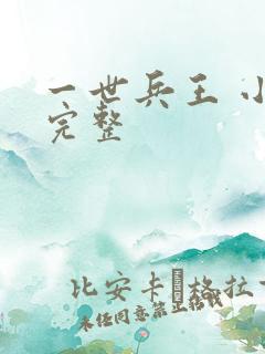 一世兵王 小说完整