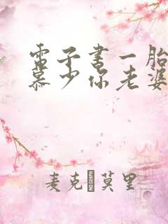 电子书一胎双宝慕少你老婆跑了