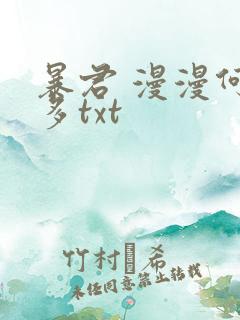暴君 漫漫何其多txt