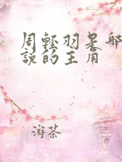 周轻羽是哪部小说的主角