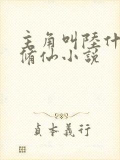 主角叫陆什么的修仙小说