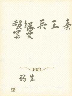 超级兵王秦渊叶云曼