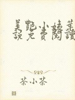 美艳小姨叶凡小说免费阅读