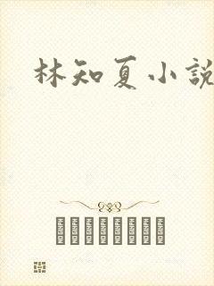 林知夏小说