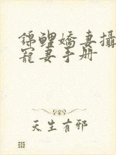 锦鲤娇妻摄政王宠妻手册