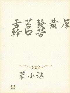 舌苔发黄厚腻口干口苦