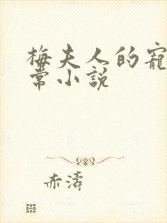 梅夫人的宠夫日常小说