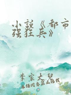 小说《都市之最强狂兵》