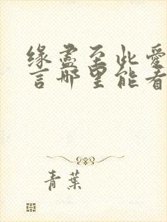 缘尽至此爱不再言哪里能看