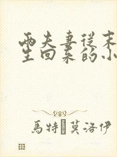 两夫妻从末世重生回来的小说