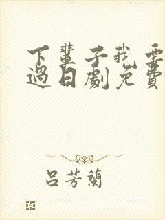 下辈子我要好好过日剧免费观看