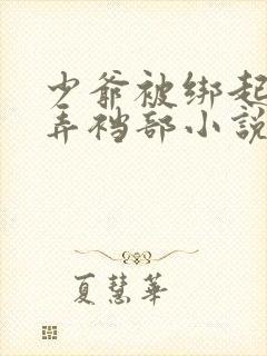 少爷被绑起来玩弄裆部小说