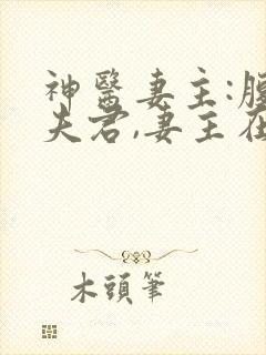 神医妻主:腹黑夫君,妻主在现代