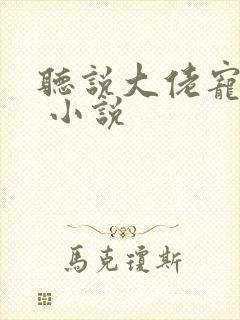 听说大佬宠夫狂 小说