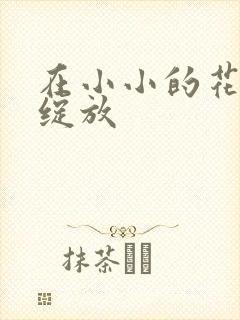 在小小的花蕾处绽放