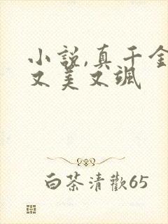 小说,真千金她又美又飒