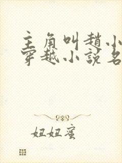 主角叫赵小驴的穿越小说名字